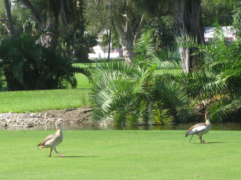 Hollywood Beach Golf Resort Exteriér fotografie