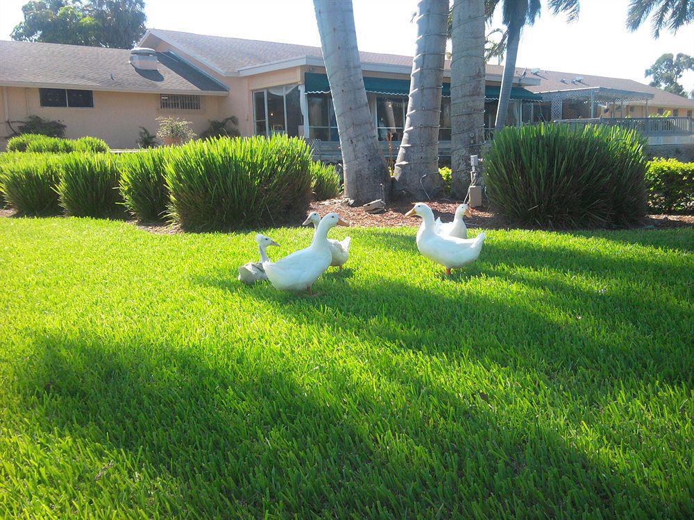 Hollywood Beach Golf Resort Exteriér fotografie